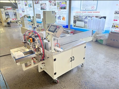 Yarı-Otomatik Peçete Paketleme Makinesi Kırgızistan'a Sevk Edildi
